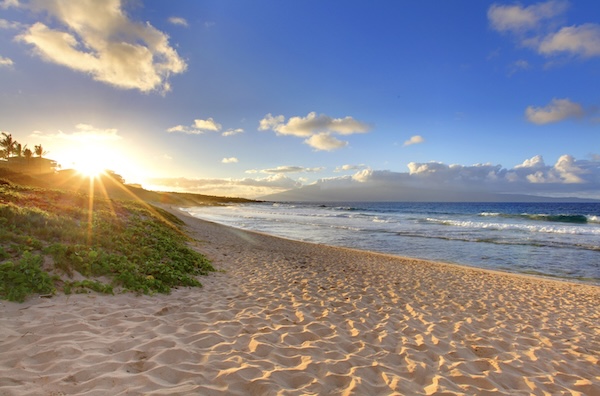 Maui by red vette - Fotolia.com