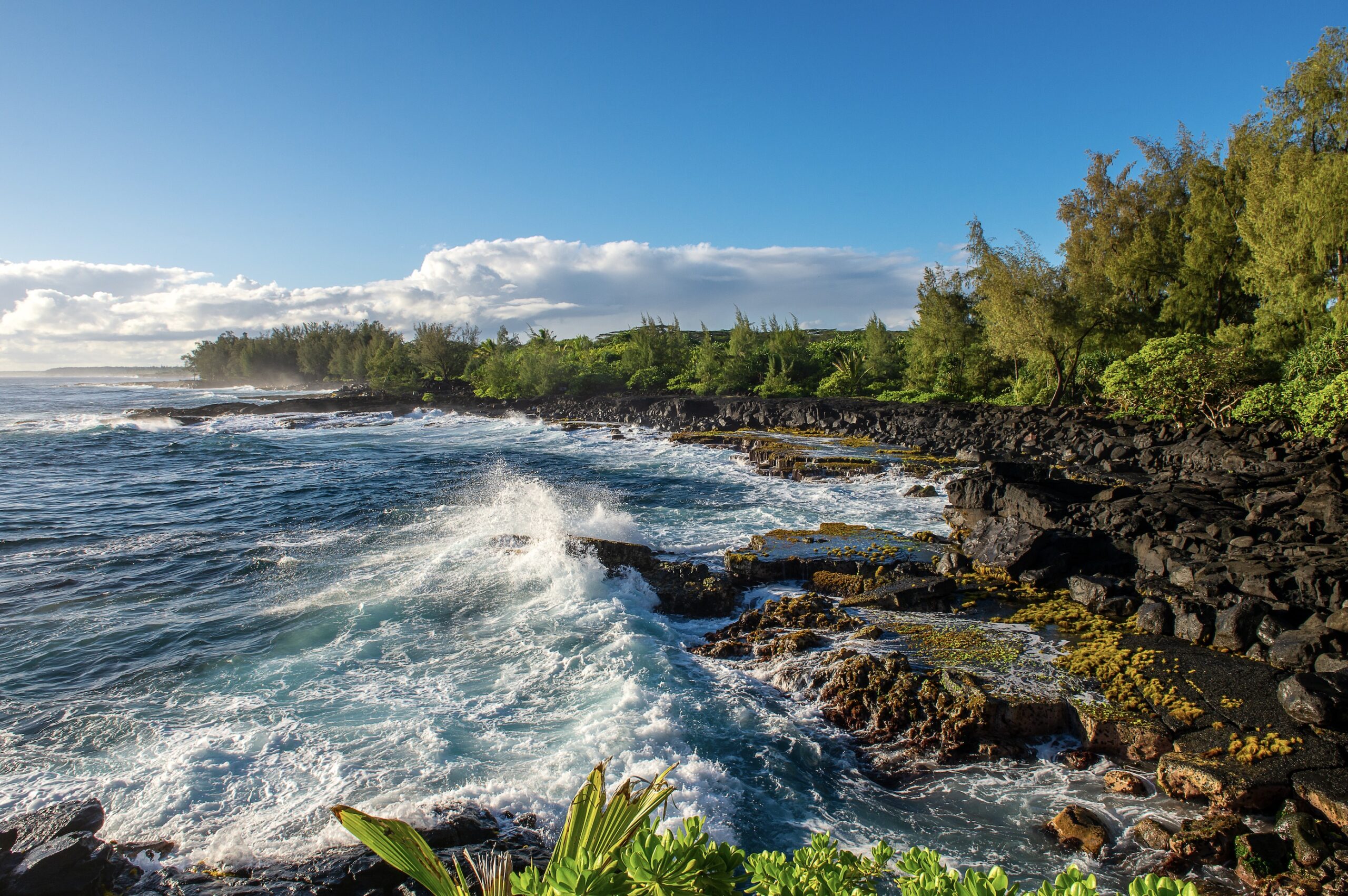 Hawaii Big Island - Vlad Turchenko - Fotolia.com