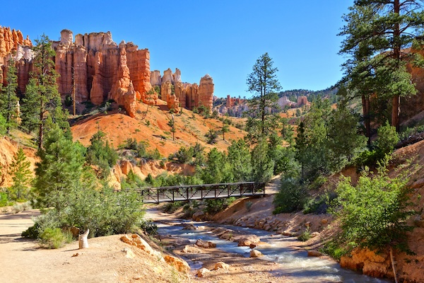 Bryce Canyon - antocar - Fotolia.com