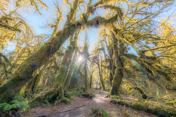 Olympic Nationalpark