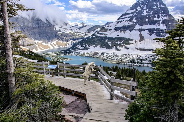 Glacier Nationalpark