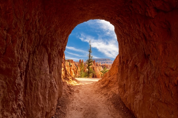 Bryce Canyon by Simon Dannhauer - Fotolia.com