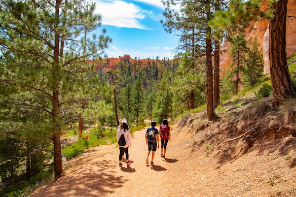 Bryce Canyon - antocar - Fotolia.com