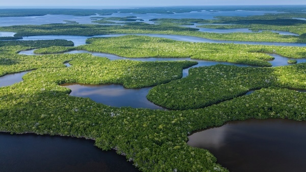 Everglades National Park by  John Anderson - Fotolia.com