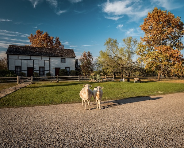 Fredericksburg Copyright © by Christopher Boswell - Fotolia.com