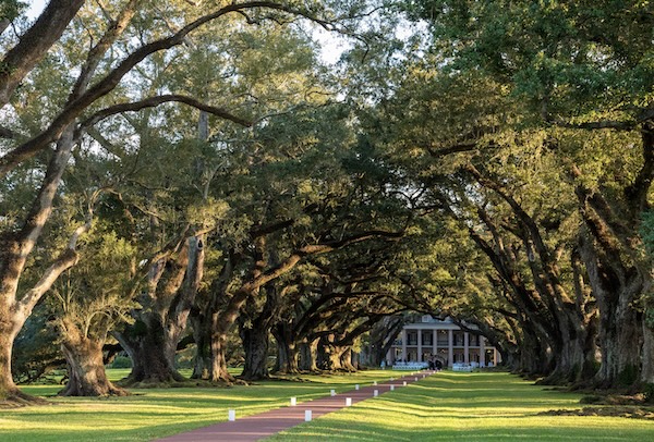 Oak Alley