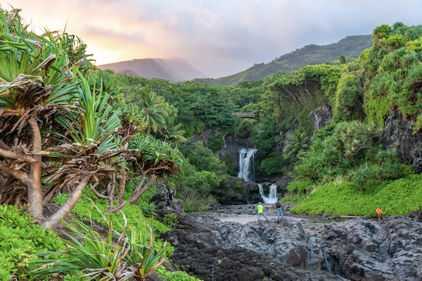 Maui Michael Brake - Fotolia.com - Fotolia.com