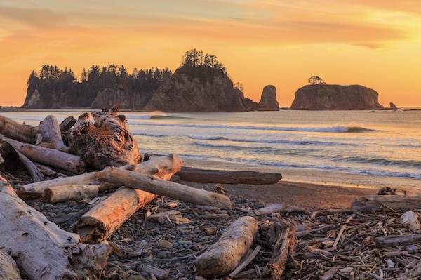 Rialto Beach by elena_survorova - Fotolia.com