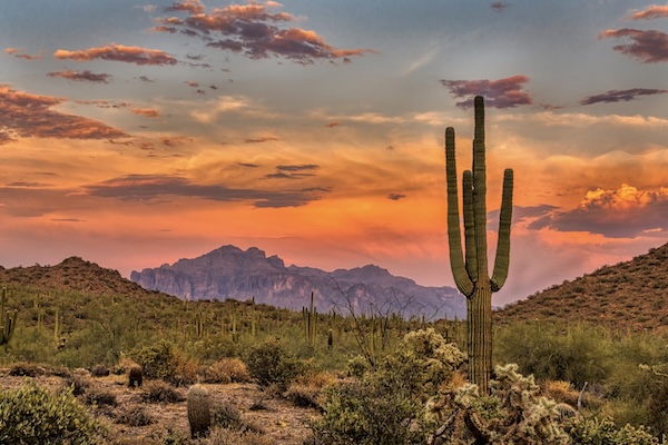 Sonora Nationalpark