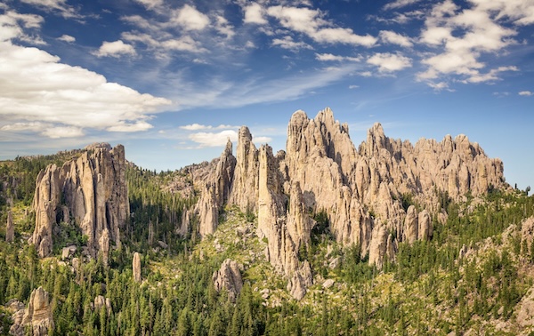 Custer State Park