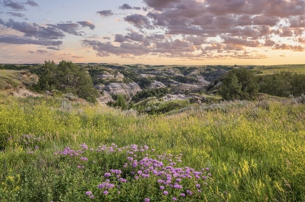 Theodore Roosevelt Nationalpark