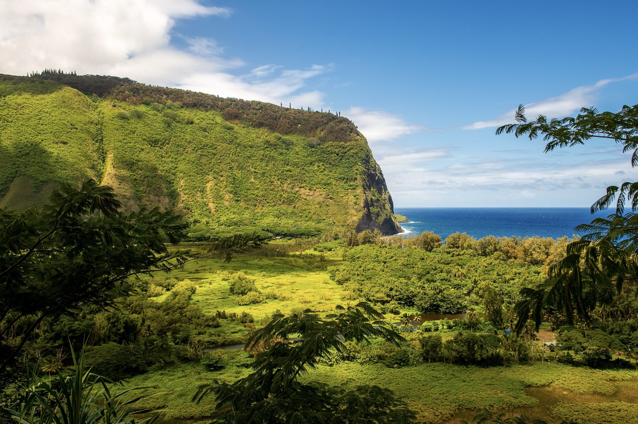 Big Island - Waipio Valley