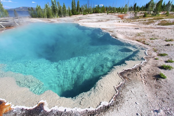 Yellowstone Sascha Burkard