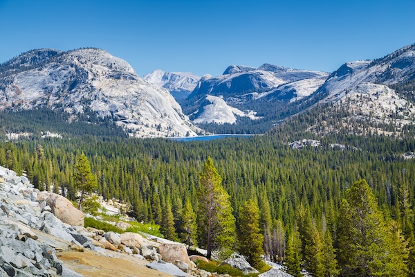 Yosemite by archjeff - Fotolia.com